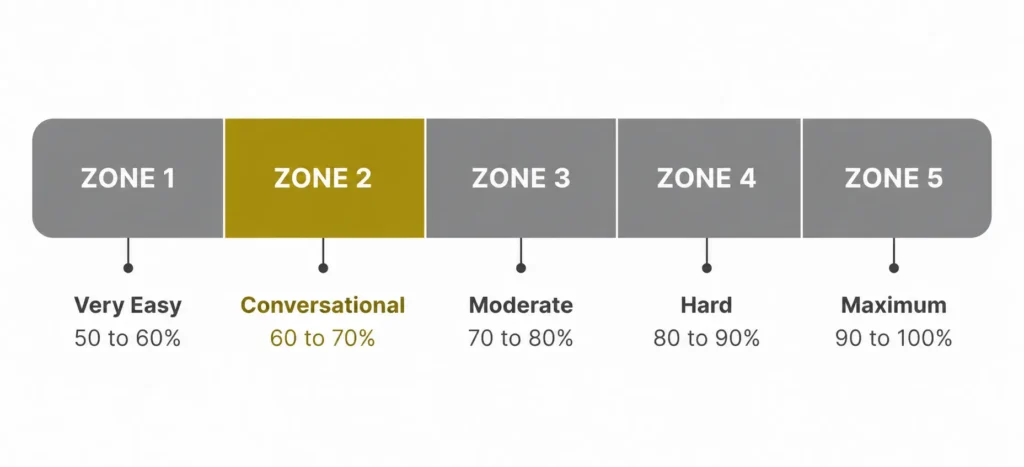Zone 2 cardio heart rate zones chart showing all five training zones as percentages of maximum heart rate