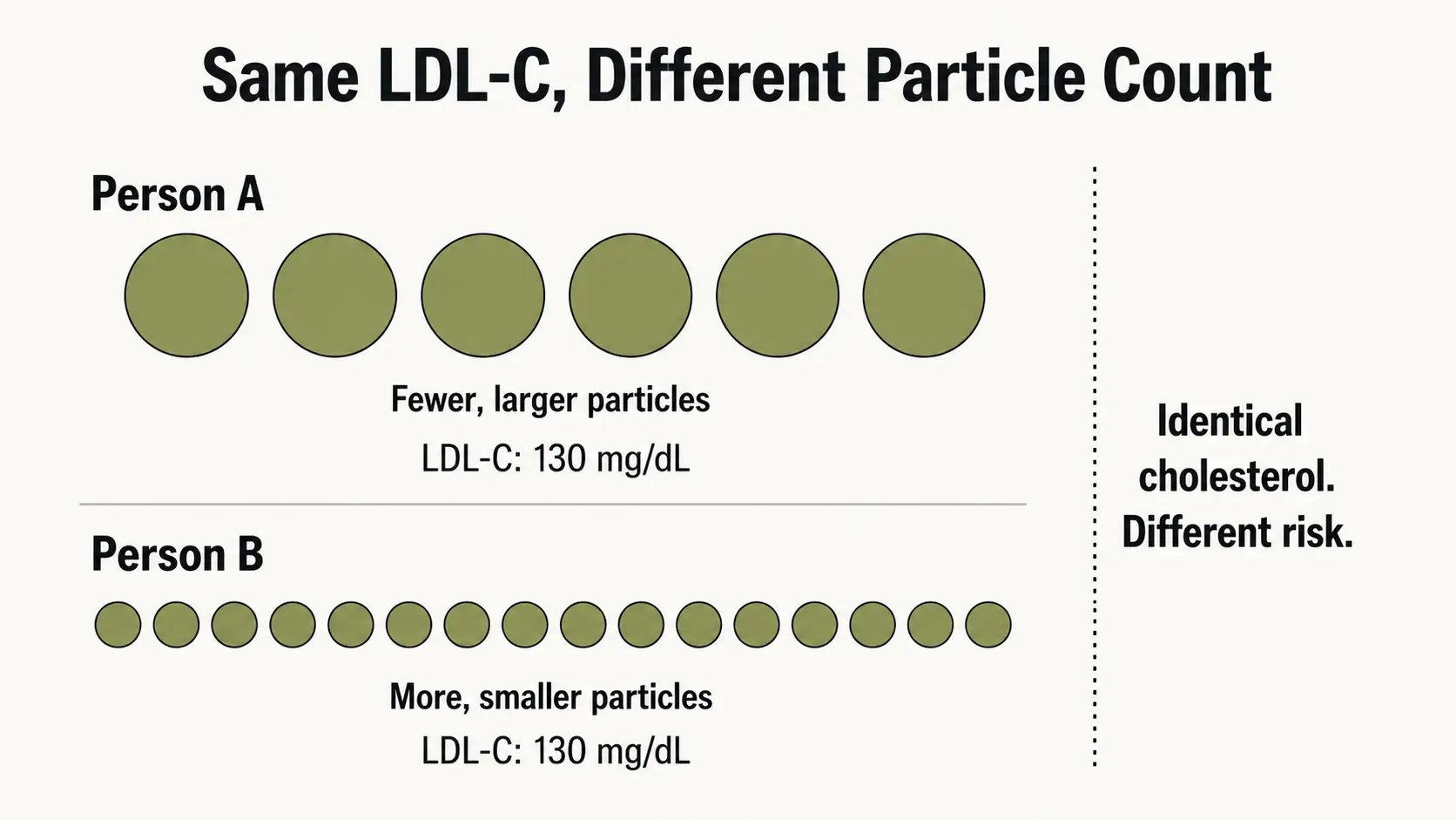 ApoB vs LDL cholesterol diagram showing two people with identical LDL but different numbers of circulating particles